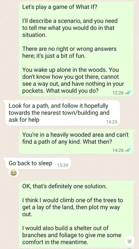 چه می‌شد اگر...؟ (?What If)