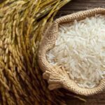 واردات برنج