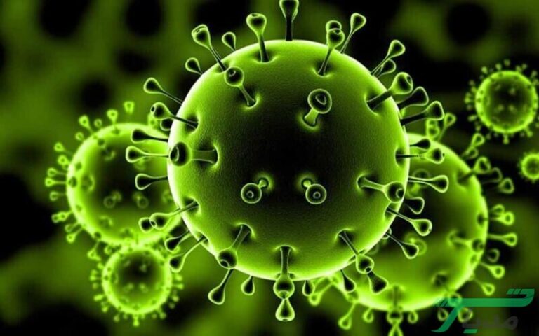 ویروس کرونا