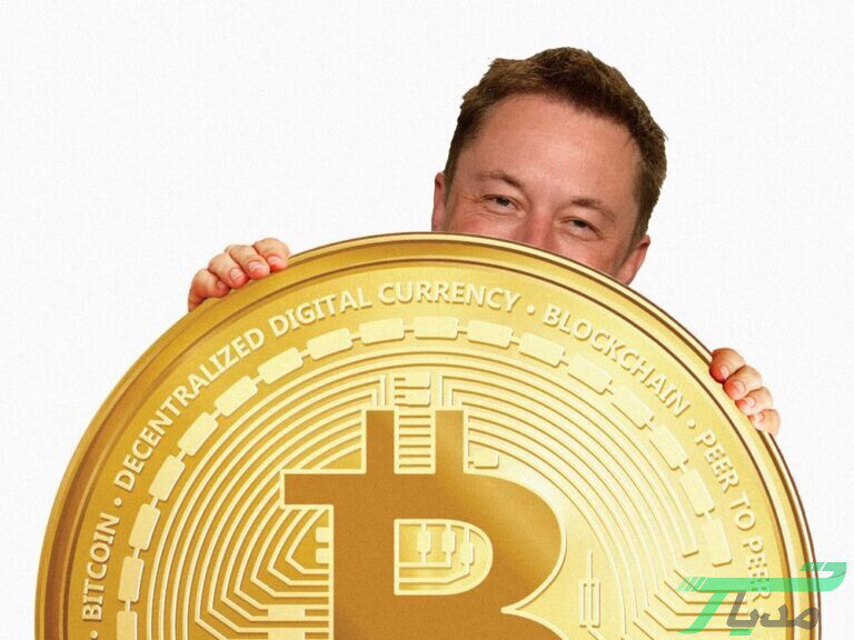 ترفند سرمایه گذاری حرفه ای در ارزهای دیجیتال | چطور بیشترین سود را کسب کنیم؟