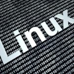 موفقیت توسعه دهندگان لینوکس در برطرف کردن حفره‌های امنیتی