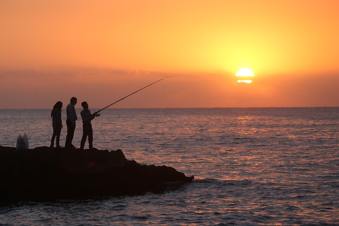 شرایط و قوانین ماهیگیری در کیش