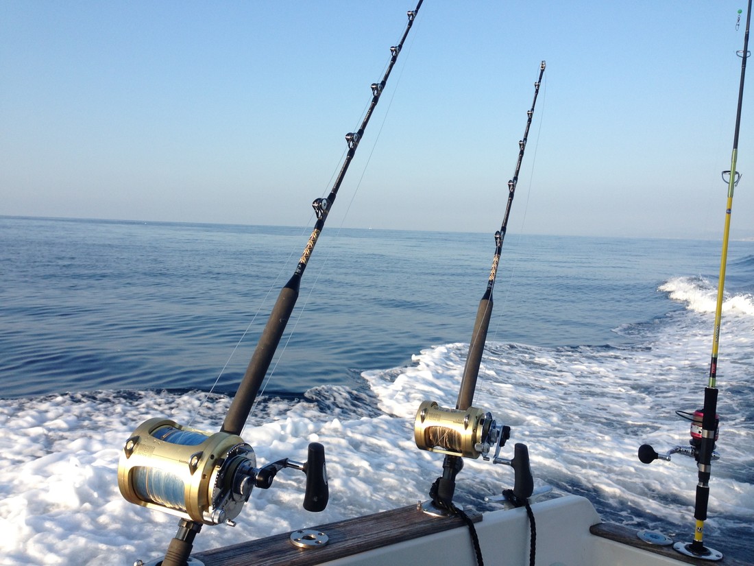 شرایط و قوانین ماهیگیری در کیش
