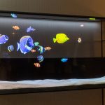 تلویزیون OLED شفاف ال جی معرفی شد، LG Signature OLED T