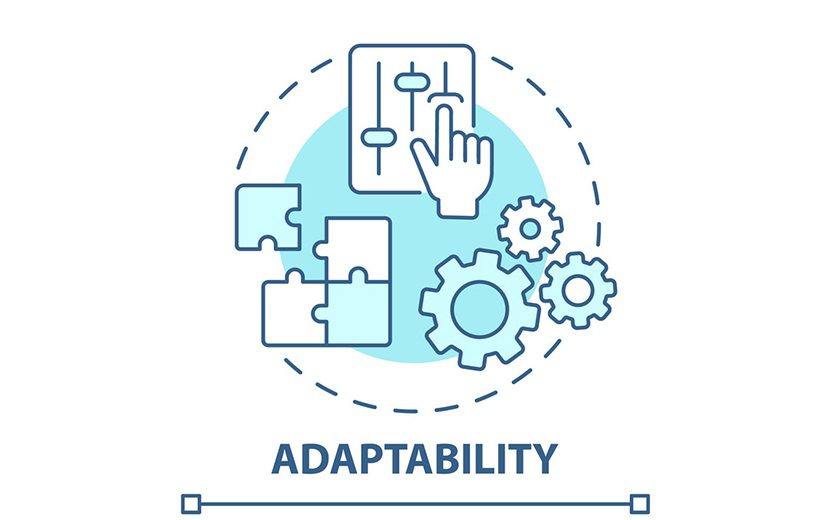 7 مهارت برای ارتقای کسب و کار در سال 2024 6 6. تطبیقپذیری