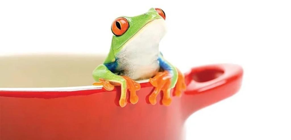 آیا سندرم قورباغه آب‌ پز واقعی است؟