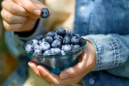چرا بلوبری آبی رنگ است؟ سرانجام کشف شد