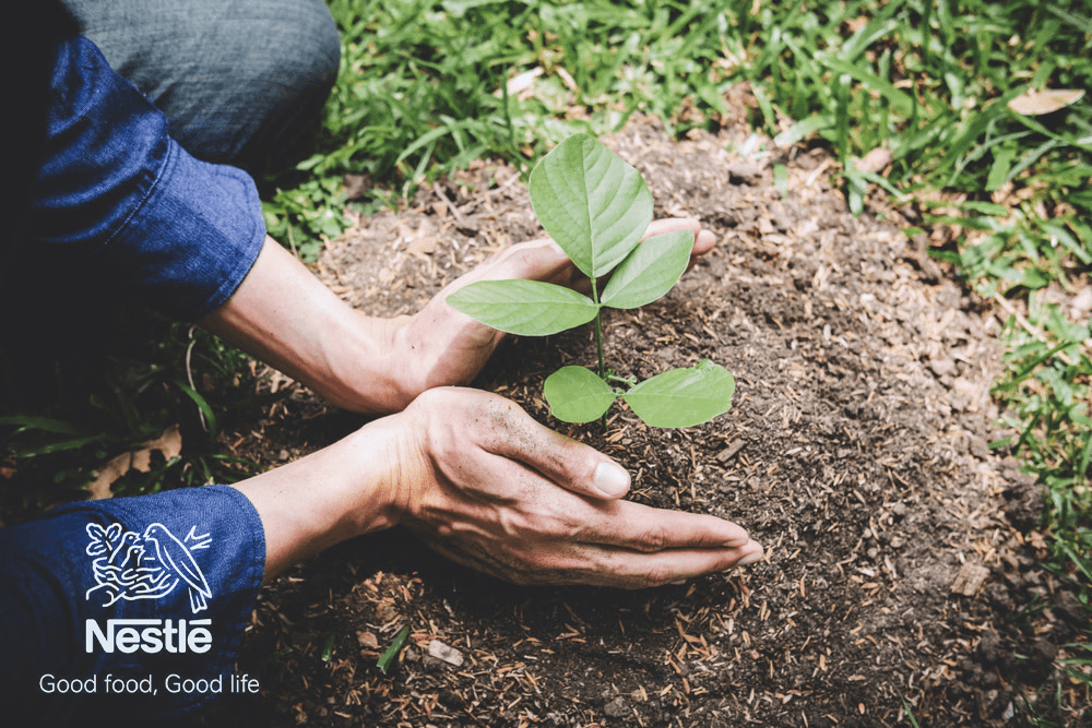 چگونه نستله گام خود را فراتر از مسئولیتهای اجتماعی میگذارد؟ سیر تحول نستله از مسئولیت اجتماعی به خلق ارزش برای جامعه