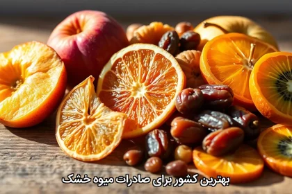 بهترین کشور برای صادرات میوه خشک