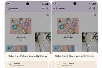 عصر جدید مدارک دیجیتال در اندروید: گوگل از ارائه و مدیریت امن گواهینامه‌های دیجیتال پشتیبانی می‌کند