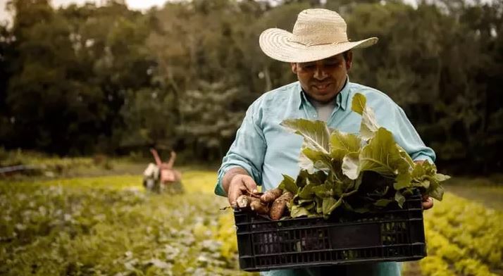 مسیر کیفیت: چگونه نستله استانداردهای خود را از مزرعه تا سفره ارتقا میدهد