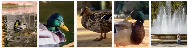 قدرتنمایی دوربین ویوو X300 پرو در اسپانیا؛ وداع با دوربینهای حرفهای 5 قدرتنمایی دوربین ویوو X300 پرو در اسپانیا؛ وداع با دوربینهای حرفهای