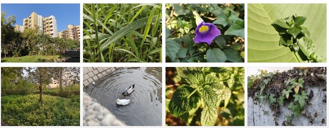 وانپلاس 15R از راه رسید؛ باتری غولپیکر ۷۴۰۰ میلیآمپری در کالبد یک هیولا 4 دوربین؛ قدرتمند مثل برادر بزرگتر