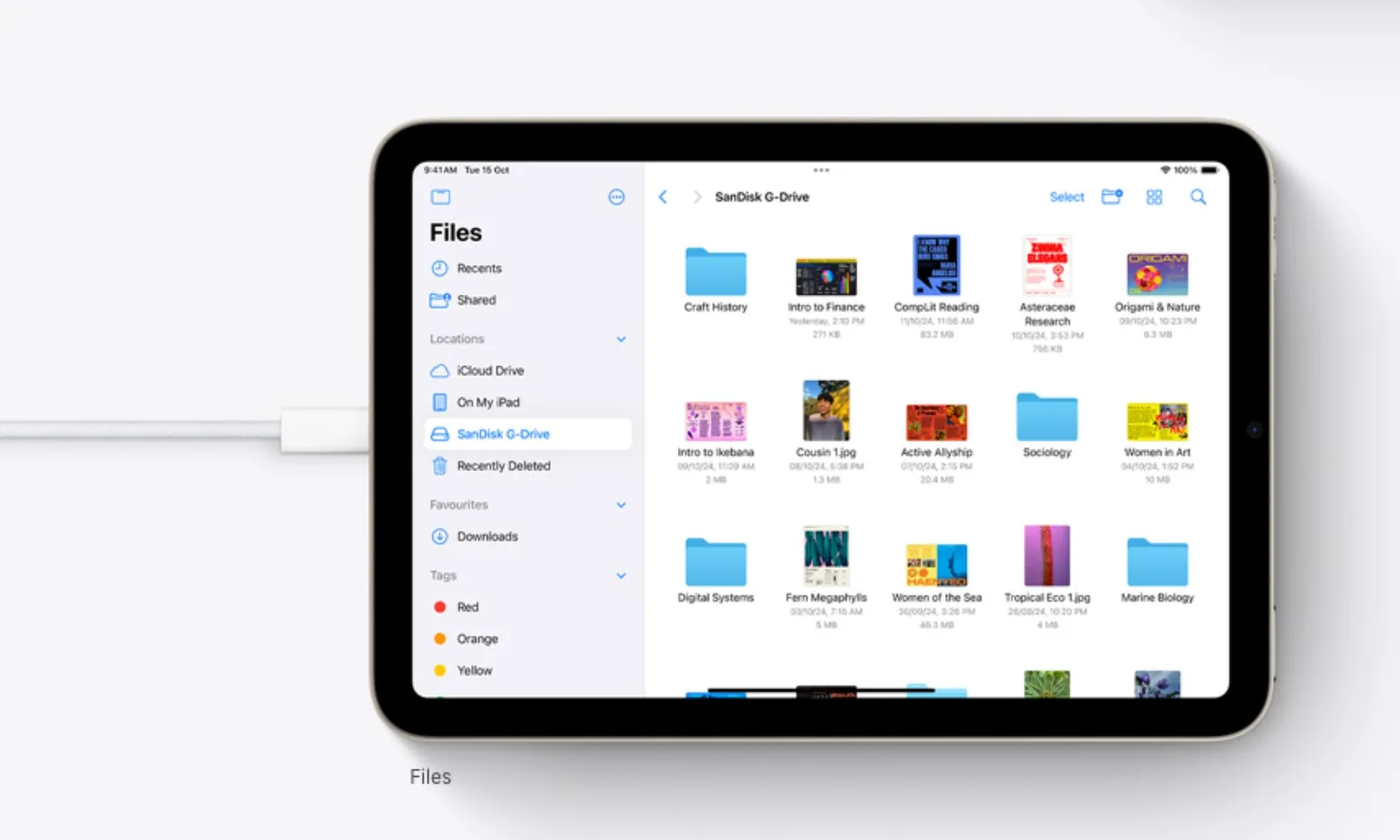 ارتقای چشمگیر iPad mini؛ احتمال تجهیز تبلت کوچک اپل به نمایشگر OLED تا پایان اکتبر